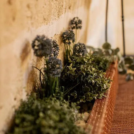 Antichi Orizzonti Guest house